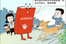 除了“遛狗要系绳”，5月1日起这些法规也开始施行图片