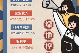 拿地减少23.6%，绿地发力降负债图片