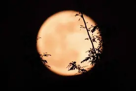 速围观超级月亮：皓月当空，邀你云追月图片