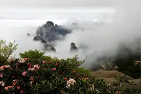 玩转皖美五一 | 五一来安徽，赴一场山花浪漫之约图片