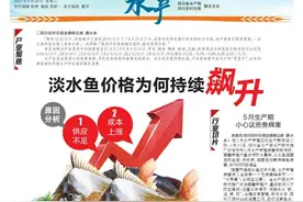 淡水鱼价格为何持续飙升图片
