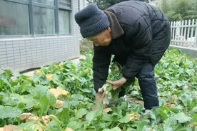 99岁83年党龄的他走了，把积蓄连同自己都捐了出来图片