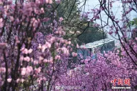 分寸感是一个人的基本素养图片