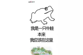 隔着屏幕，都能闻到残忍的血腥味图片