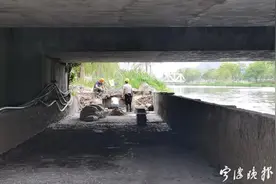 定了！宁波今年有大动作！你家门口或要大变样图片