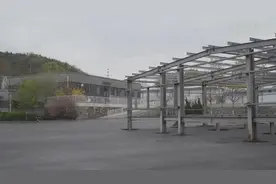 新华全媒+丨揭秘中国导盲犬的摇篮图片