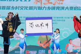 培育100名乡土文化能人、打造100个乡村“打卡地”……四川乡村文化持续破圈图片