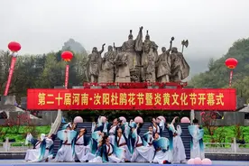 河南汝阳：杜鹃花开映山红图片