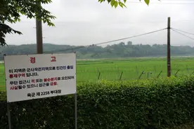 不明男子强闯韩国三八线前方部队，扔下包裹内现奇怪物品图片