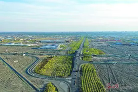 「沿着高速看新疆」新疆东大门炼成记图片