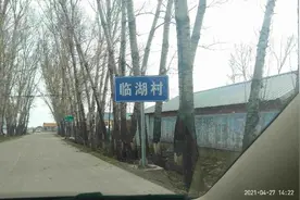 还原现场！“完达山一号”拍碎玻璃差点进屋，进村之后吼叫咬车胎还卖萌图片