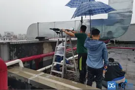 雨天偷排，查图片