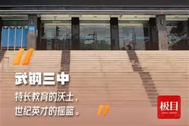 卓越：武钢三中的教育追求图片