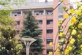 武大附中毕业生讲述逆袭背后的故事图片