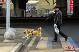 下月起，出门遛狗必须拴绳！拴绳！拴绳图片