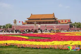 北京天安门广场花团锦簇 喜迎五一黄金周来临图片