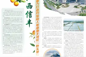 江西信丰 奋力打造对接融入粤港澳大湾区“桥头堡”图片