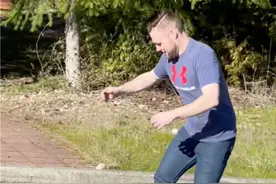 自学成才！英国斗牛犬滑板技艺高超走红网络图片