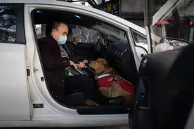 1750万盲人如何实现「打车自由」？图片