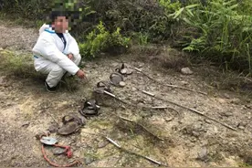 丽水男子捕获一只豹猫，竟和朋友分食了？！野猪夹上还安装了芯片图片