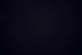 健合集团中国区CEO 李凤婷：以创新作为增长推动力 植根中国消费者需求图片