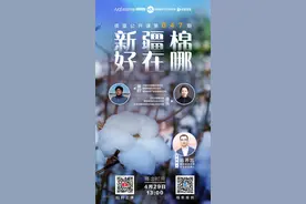 好棉花是怎样生产出来的？中国农科院专家揭秘新疆棉花图片