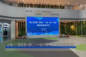 上海：“多张变一张”“一业一证”改革释放何种红利？视频封面