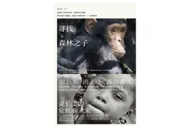 为什么说倭黑猩猩是森林中的和平主义者？图片