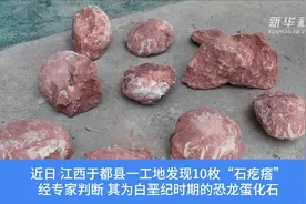 6600万年前恐龙蛋化石 了解一下视频封面