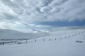 飞雪迎夏 曲靖会泽大海草山现“冬日”景观图片