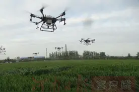 图说周口｜西华 飞防作业圆满完成，表彰先进重奖功臣图片