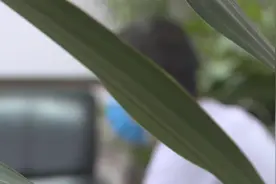 小伙网络求职被骗至缅北遭武装囚禁：不学诈骗就挨打，家人交4.5万赎金后脱身流落餐馆图片