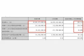 比亚迪首季仅赚2亿多，含政府补助4亿，股民：配不上股价图片