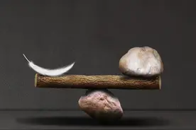 明星基金经理投资港股通也不容易：圆信永丰优享生活持有人大会召开失败，修改基金合同计划落空图片