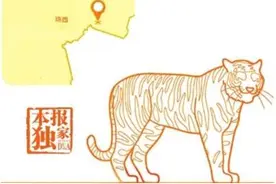 它从哪里来？应该放归哪里去？图片