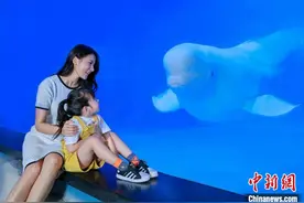 “五一”黄金周临近 广东旅游业热度持续走高图片