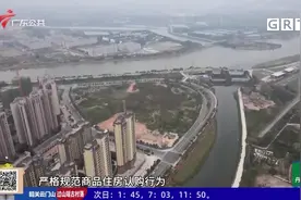 东莞市住建局：违规现象多发 但监管存在困难视频封面