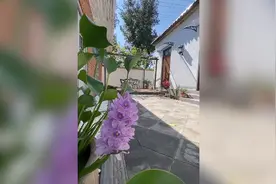 94秒丨山东小伙十个月爆改闲置十年的老宅 网友：一个人造了一栋别墅图片