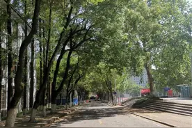 中南大挖出的疑似历史遗留爆炸物已安全运离图片