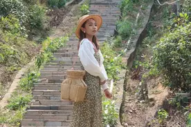 潮汕文化有什么魔力？深度行走才能知道答案（上）图片