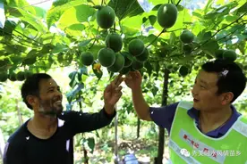 【驻村印记】龙口村第一书记陈耿：《时间的意义》图片