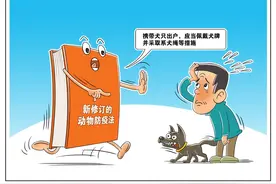 遛狗不牵绳，后果很严重！图片