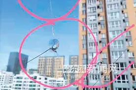多户人家阳台玻璃被钢珠打出孔图片