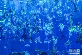 “最大规模水下人鱼秀”创造吉尼斯世界纪录图片