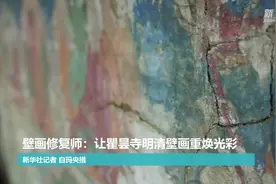 壁画修复师：让瞿昙寺明清壁画重焕光彩视频封面