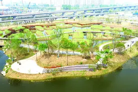 盐城湿地公园，来了！走，五一去“打卡”→图片