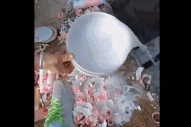 倒牛奶为偶像“打投”？违法！央媒集体痛批图片