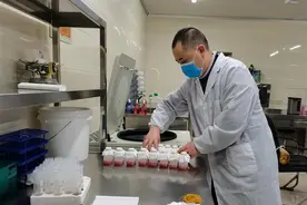 金伟丰：养兔子也当志存高远图片