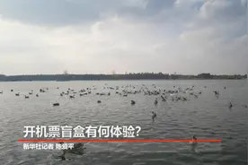 财经聚焦·“五一”新体验｜跟着“盲盒”去旅行 你会“双厨狂喜”吗？图片
