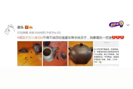 儿子打碎袁弘最爱的壶 向张歆艺撒娇道歉太萌图片